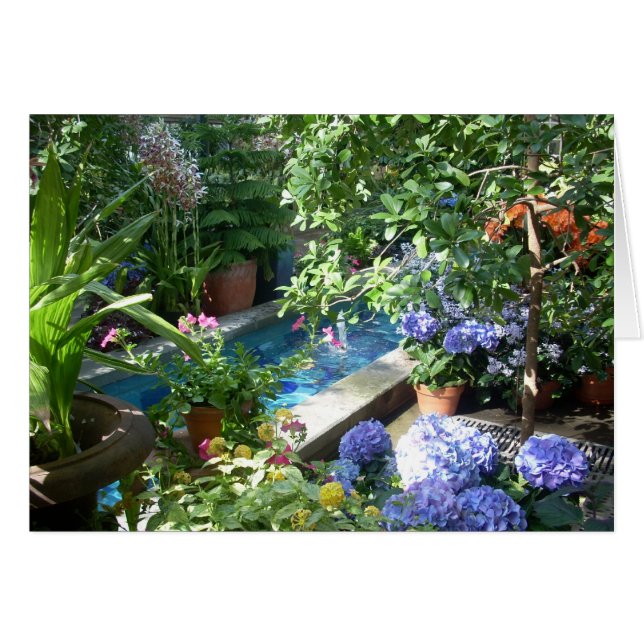 Greenhouse-Blume drei (Vorderseite (Horizontal))