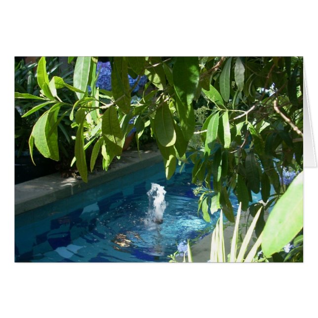 Greenhouse-Blume fünf (Vorderseite (Horizontal))