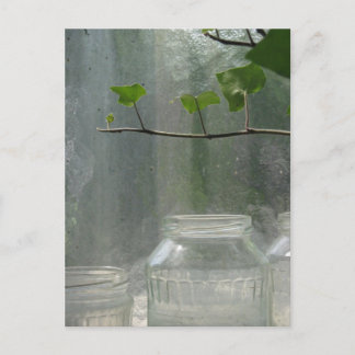 Greenhouse Postcard Postkarte