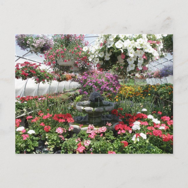 Greenhouse Postcard Postkarte (Vorderseite)