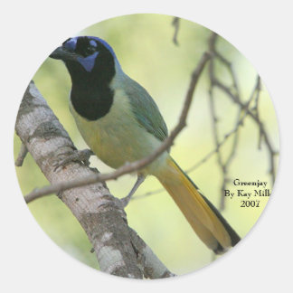 Greenjayby Kay Miller2007 Runder Aufkleber