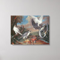 Greenland Cyr Falcons