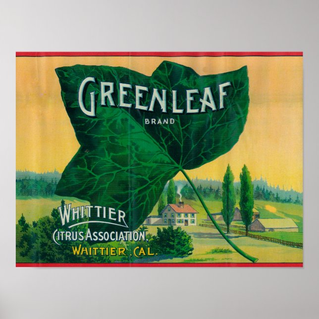 Greenleaf Lemon LabelWhittier, CA Poster (Vorne)