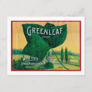 Greenleaf Lemon LabelWhittier, CA Postkarte