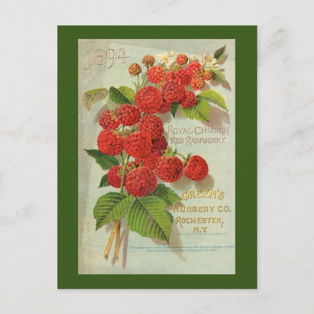 Green's Kinderzimmer Co. Werbung Postkarte (Vorderseite)