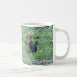 Greenville-Elche 2 Tasse