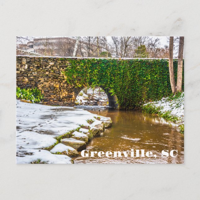 Greenville, South Carolina Snow auf dem Fluss Reed Postkarte (Vorderseite)