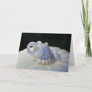 Greeting Card-Ivory Pumpkin Karte