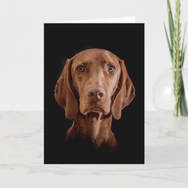 Greeting Card  "Magyar Vizsla" Karte (Vorderseite)