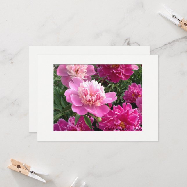Greeting card with beautiful peonies karte (Vorderseite/Rückseite Beispiel)