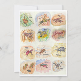 Greeting card with colorful images of twelve bugs feiertagskarte