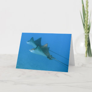 Greeting Card with Ocean Eagle Rays Maui Karte