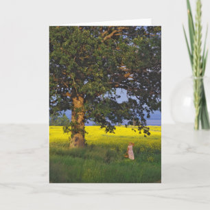 GREETING CARDS NORTH HERO VERMONT KARTE