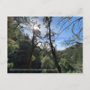 GREETINGS AUS DER WILDERNESS WELT! POSTKARTE