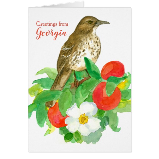 Greetings from Georgia Brown Thrasher Blank (Vorne)