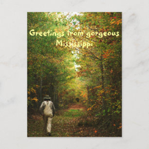 Greetings from Mississippi Postkarte