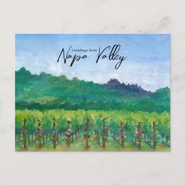 Greetings From Napa Valley Vineyard Red Roses  Postkarte (Vorderseite)