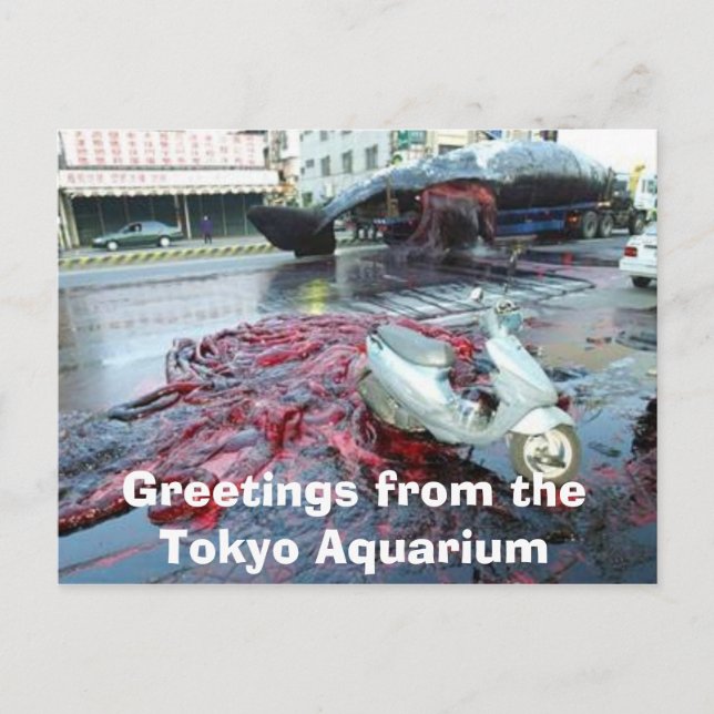 Greetings from the Tokyo Aquarium Postkarte (Vorderseite)