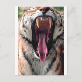 Greiftiger 2 postkarte
