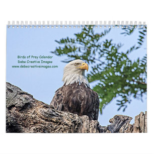 Greifvögel 2026 kalender