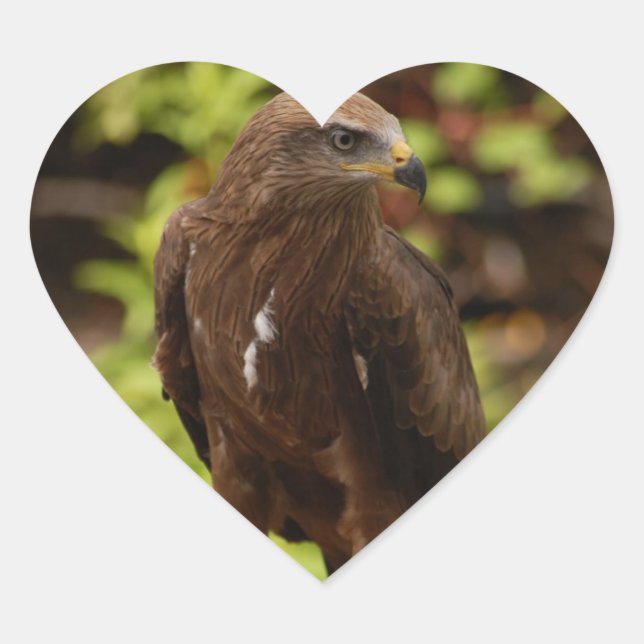 Greifvögel Herz-Aufkleber (Vorderseite)