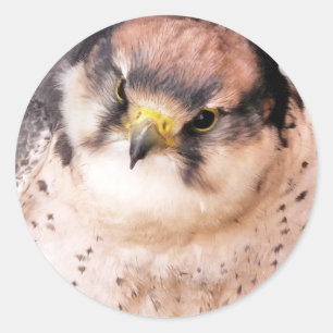 GREIFVOGEL RUNDER AUFKLEBER