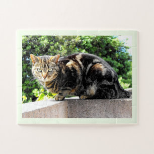 Gremlin-Katze Puzzle