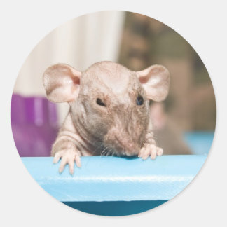 Gremlin Runder Aufkleber