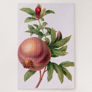 Grenade (Pomegranate) von Pierre Redout Puzzle