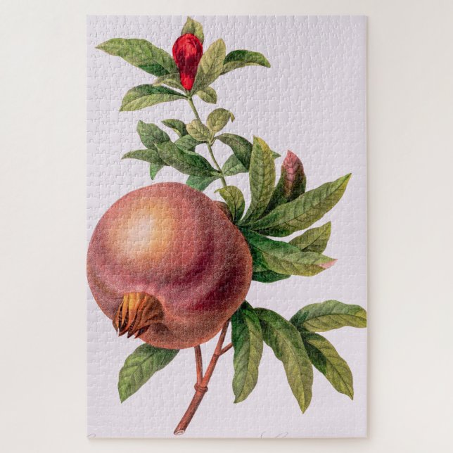 Grenade (Pomegranate) von Pierre Redout Puzzle (Vertikal)
