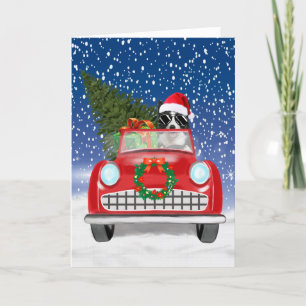 Grenz Collie Dog Auto fahren im Schnee Weihnachten Programm