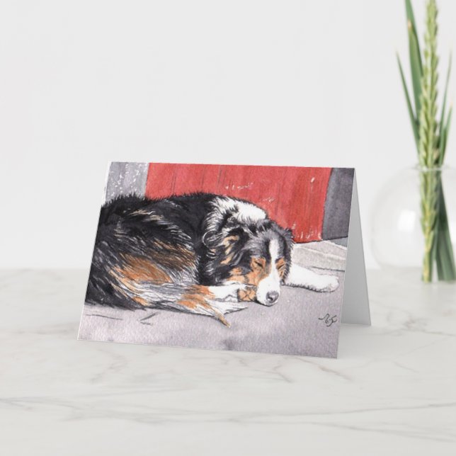 Grenz-Collie-Grußkarte Karte (Vorderseite)