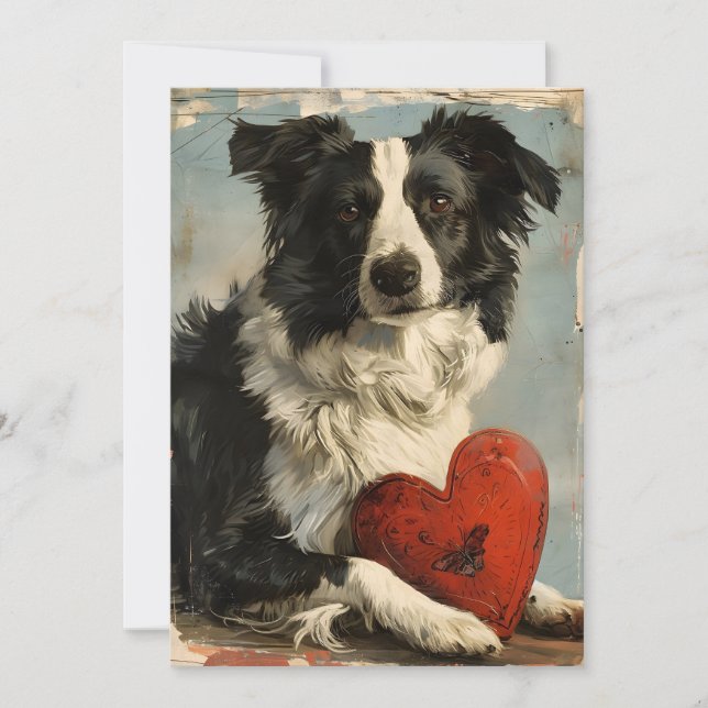 Grenz-Collie-Vintager Valentinstag Feiertagskarte (Vorderseite)