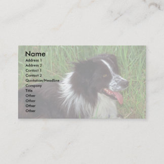 Grenz-Collie Visitenkarte