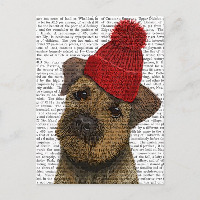 Grenz-Terrier mit Red Bobble Hat 3 Postkarte (Vorderseite)