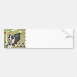 Grenzcollie-Agility-Autoaufkleber Autoaufkleber