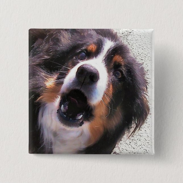 GRENZCOLLIE BUTTON (Vorderseite)