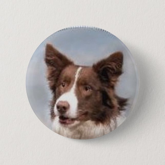 Grenzcollie-Button Button (Vorderseite)