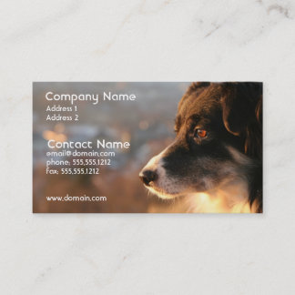 Grenzcollie-Foto-Geschäfts-Karte Visitenkarte