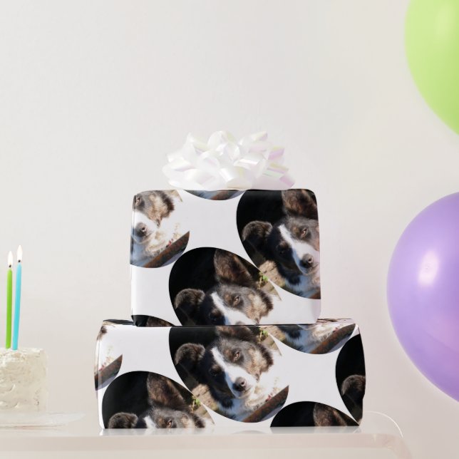 GRENZCOLLIE GESCHENKPAPIER (Partygeschenke)