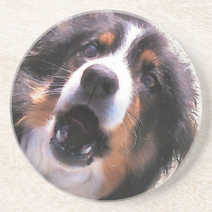 GRENZCOLLIE GETRÄNKEUNTERSETZER