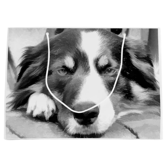 GRENZCOLLIE GROßE GESCHENKTÜTE (Vorderseite)