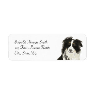 Grenzcollie-Hundehaustier-Tier-Name-Aufkleber