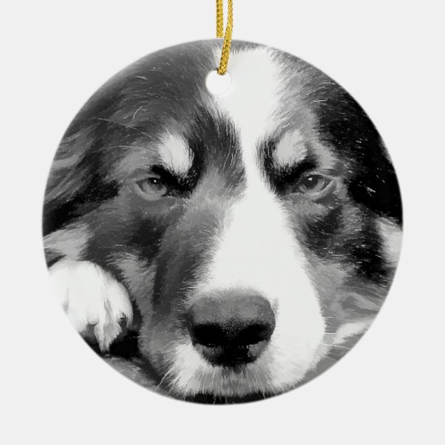 GRENZCOLLIE KERAMIK ORNAMENT (Vorne)