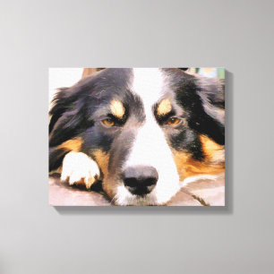 GRENZCOLLIE LEINWANDDRUCK