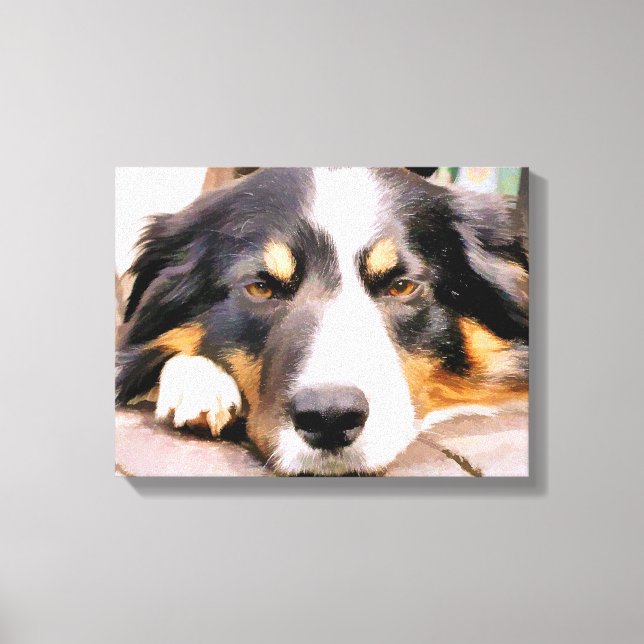 GRENZCOLLIE LEINWANDDRUCK (Vorderseite)
