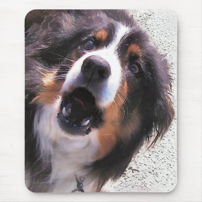 GRENZCOLLIE MOUSEPAD (Vorne)