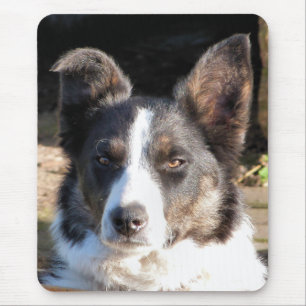 GRENZCOLLIE MOUSEPAD
