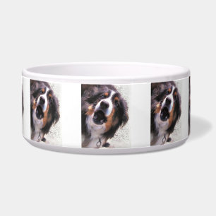 GRENZCOLLIE NAPF