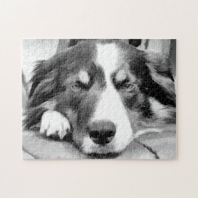 GRENZCOLLIE PUZZLE (Horizontal)